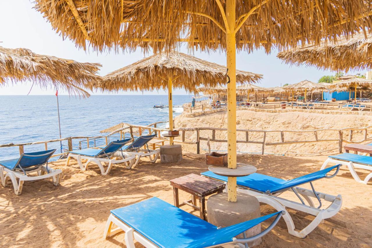 Sharm Reef Hotel Exteriér fotografie