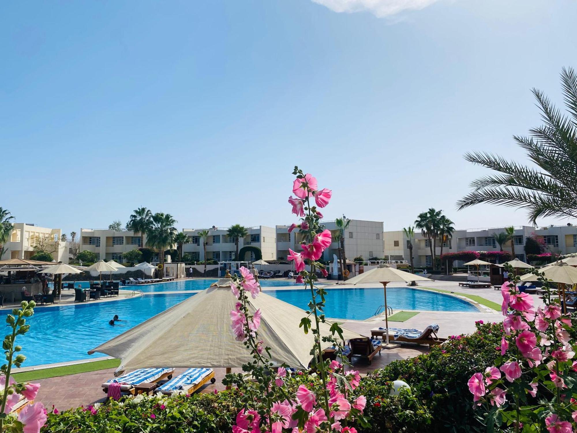 Sharm Reef Hotel Exteriér fotografie