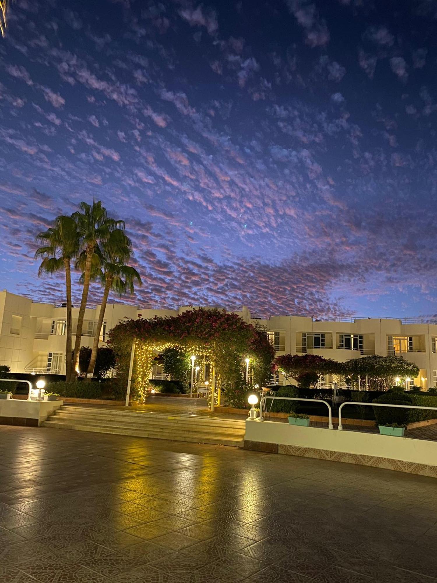 Sharm Reef Hotel Exteriér fotografie