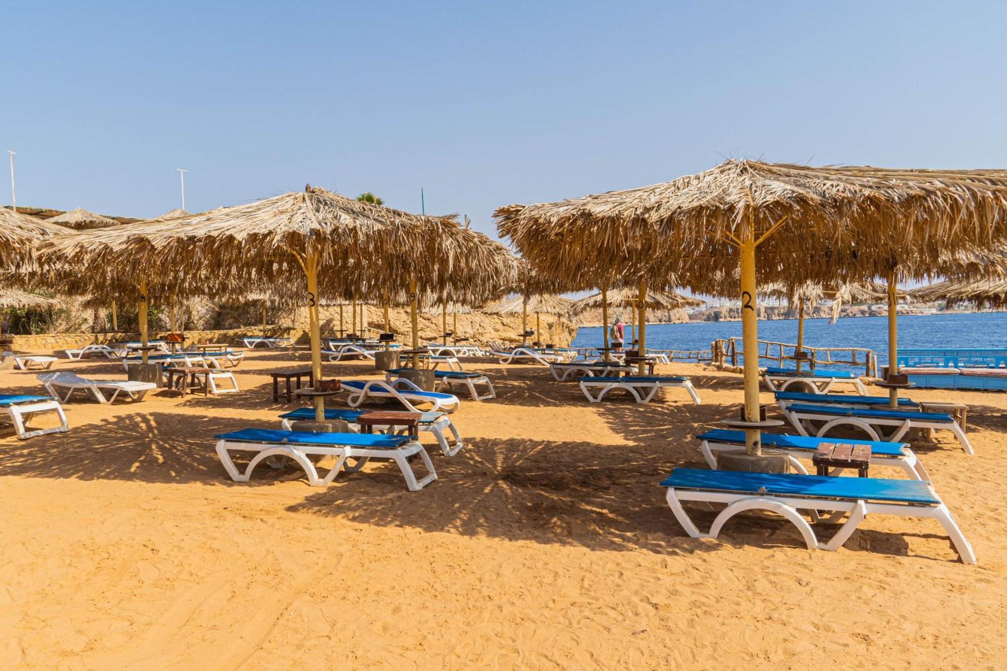 Sharm Reef Hotel Exteriér fotografie